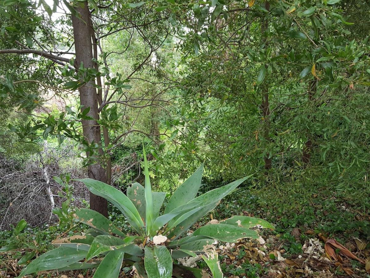 Wilsons Promontory Motel Foster Esterno foto