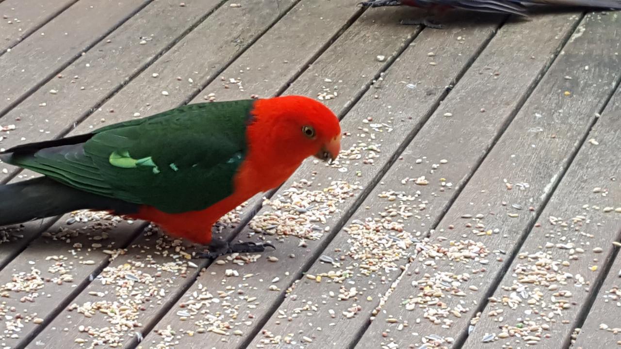 Wilsons Promontory Motel Foster Esterno foto